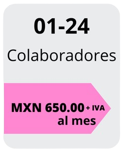 Precios de 01 a 24 colaboradores. En Tuttodire ofrecemos precios bajos productividad alta a todos nuestro partners.