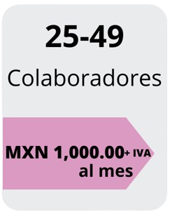 Precios de 25 a 49 colaboradores. En Tuttodire ofrecemos precios bajos productividad alta a todos nuestro partners.