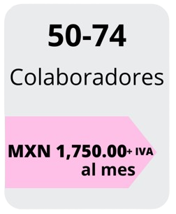 Precios de 50 a 74 colaboradores. En Tuttodire ofrecemos precios bajos productividad alta a todos nuestro partners.