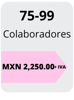 Precios de 75 a 99 colaboradores. En Tuttodire ofrecemos precios bajos productividad alta a todos nuestro partners.